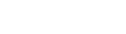 Federal Authority for Identity, Citizenship, Customs & Port Security
